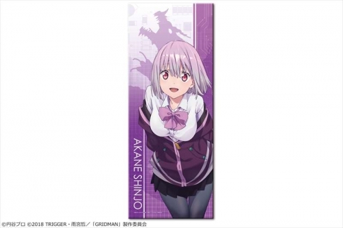 グッズ タオル Ssss Gridman マイクロファイバーフェイスタオル 新条アカネ ゲーマーズ キャラクターグッズ商品の総合通販