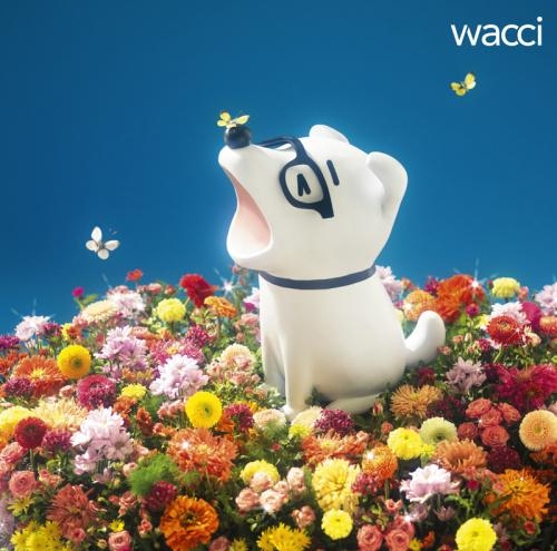 主題歌 Tv 四月は君の嘘 Ed キラメキ Wacci 通常盤 ゲーマーズ 音楽商品の総合通販
