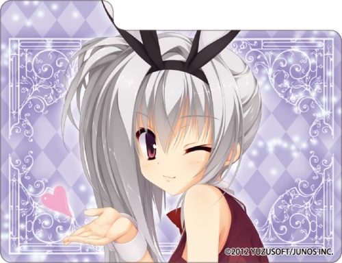 グッズ カードケース Dracu Riot キャラクターデッキケースmax Neo エリナ オレゴヴナ アヴェーン ゲーマーズ キャラクターグッズ商品の総合通販