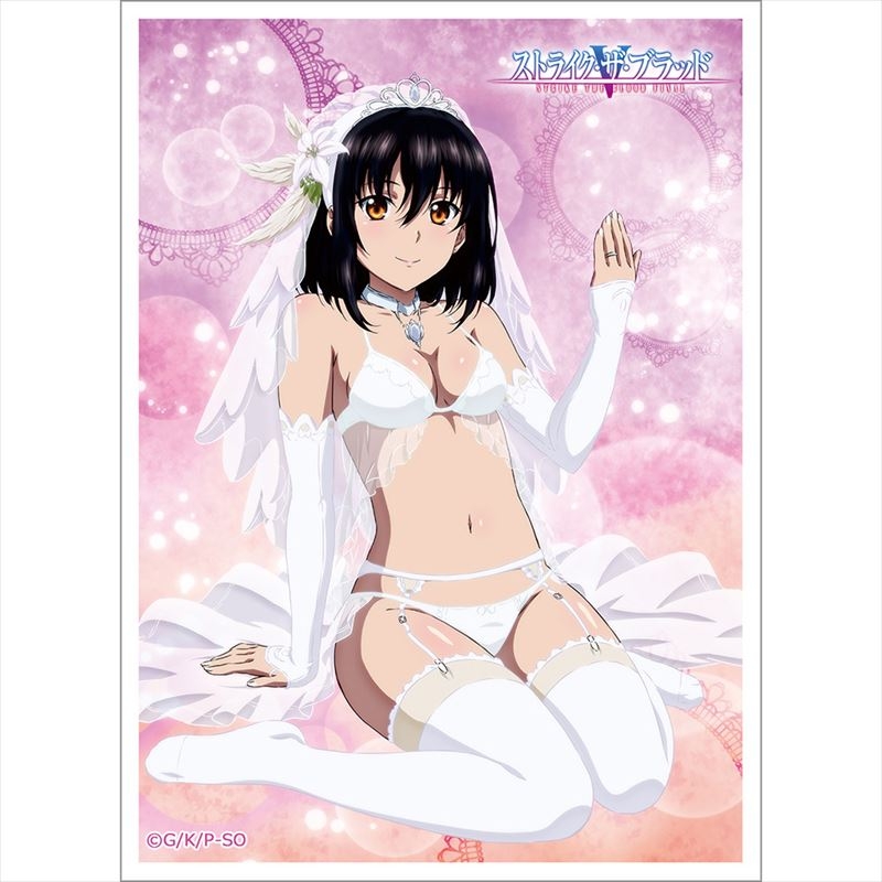 グッズ カードケース ストライク ザ ブラッド スリーブ 雪菜 ウエディング ゲーマーズ キャラクターグッズ商品の総合通販