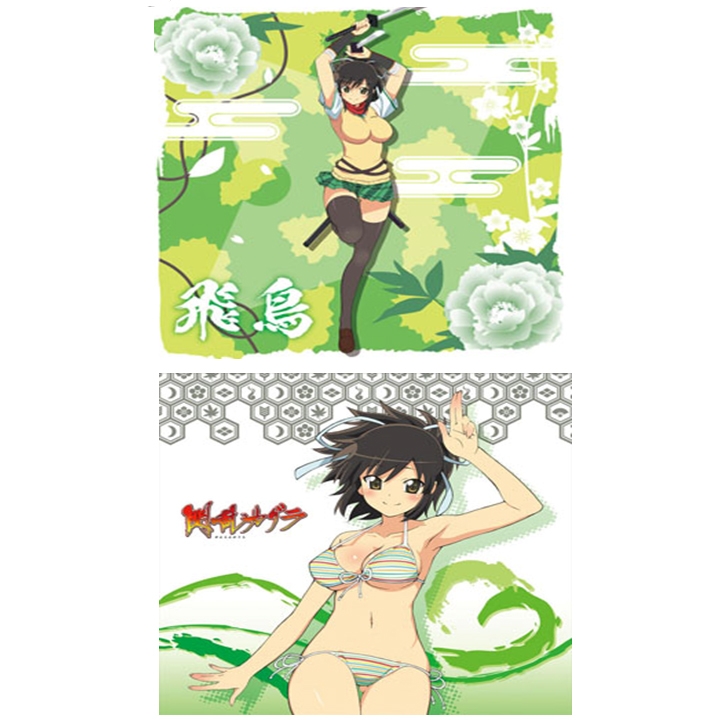 グッズ カバー 閃乱カグラ クッションカバー 飛鳥 ゲーマーズ キャラクターグッズ商品の総合通販