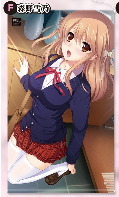 グッズ タペストリー 初恋1 1 特大タペストリー F 森野雪乃 ゲーマーズ キャラクターグッズ商品の総合通販
