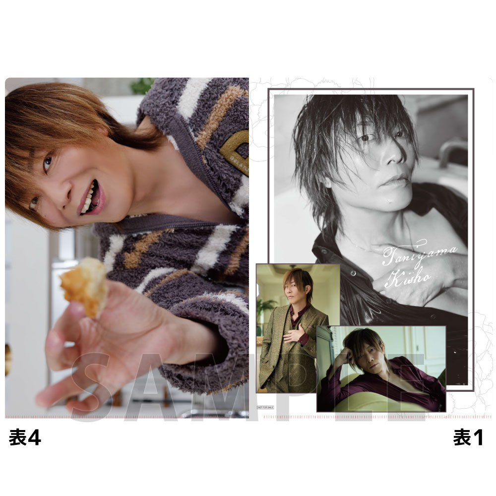 【8P】A4クリアファイル / 谷山紀章50歳記念写真集　KRONICLE