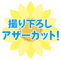 撮り下ろし
