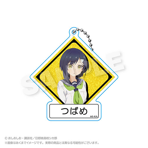 【C-9】ホログラムキーホルダー つばめ