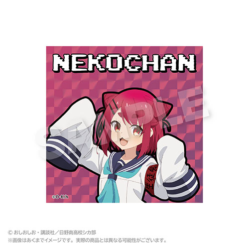 【D-7】ホログラムステッカー ねこちゃん