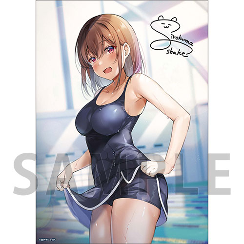 【C-3】A4クリアポスター