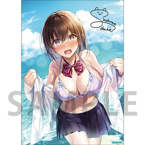 【C-4】A4クリアポスター