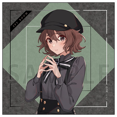 【D-6】マイクロファイバー／サラ
